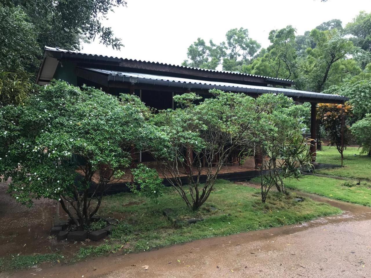 Greenwood Hotel Sigiriya Exterior foto