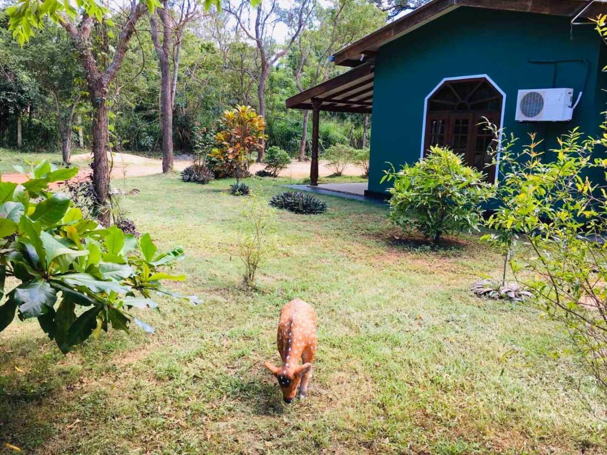 Greenwood Hotel Sigiriya Exterior foto